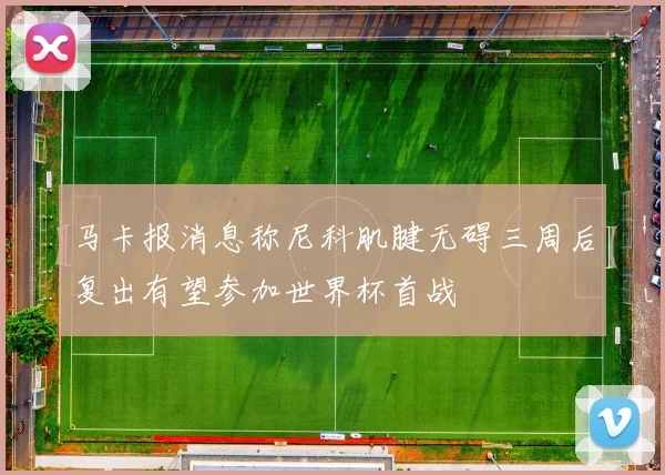 马卡报消息称尼科肌腱无碍三周后复出有望参加世界杯首战